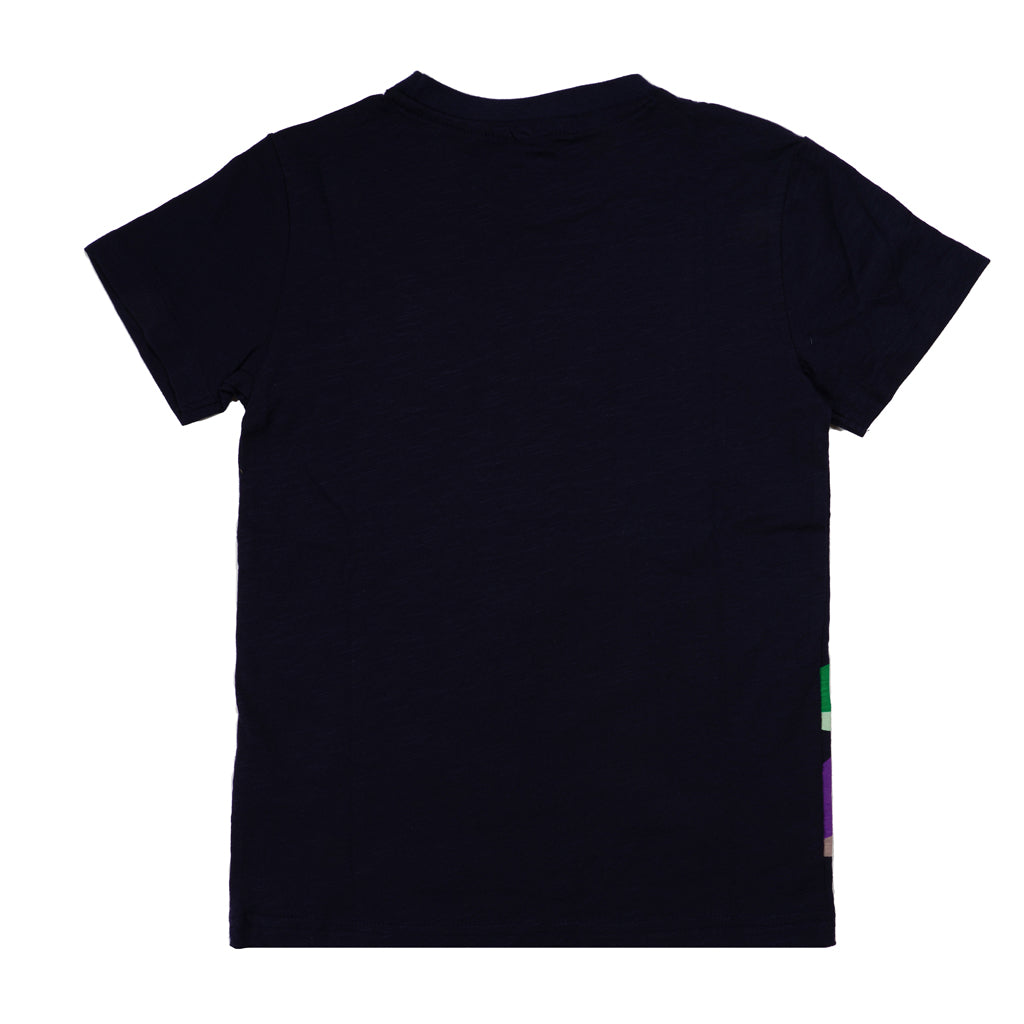 Boys Printed Regular T-Shirt