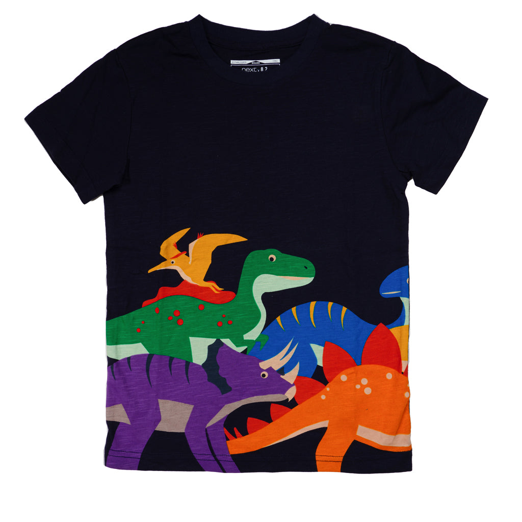 Boys Printed Regular T-Shirt